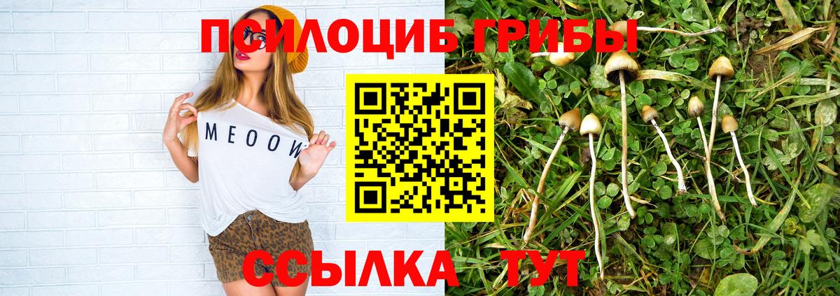 Псилоцибиновые грибы Cubensis Семёнов